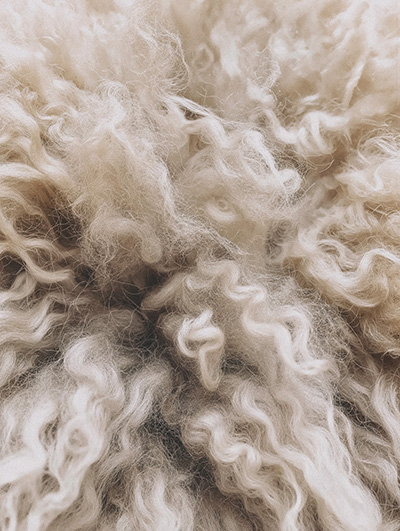 Close-Up of Wool