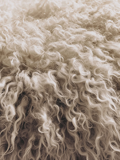Wool Texture Close-Up