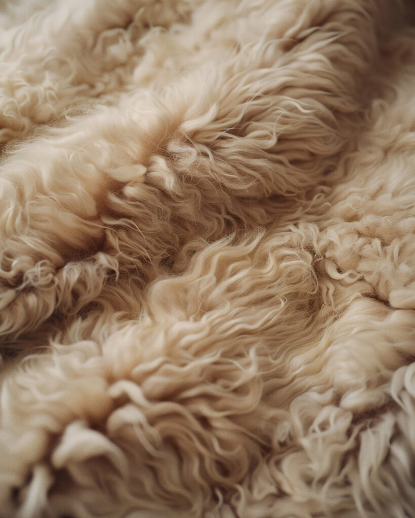 The Monnaco Collection – Cozy Closeups